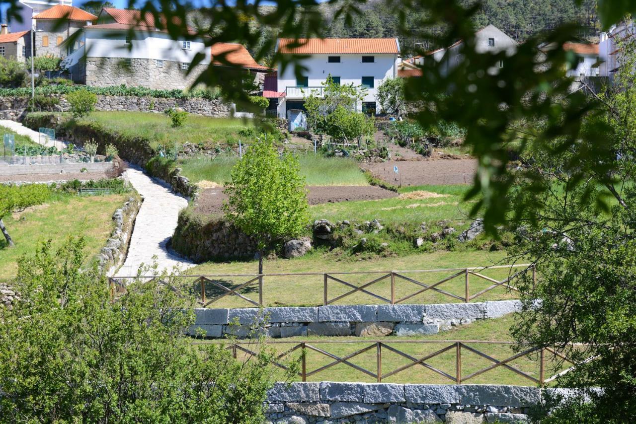 Vila Casa Dos Alcaides Sabugueiro  Exteriér fotografie